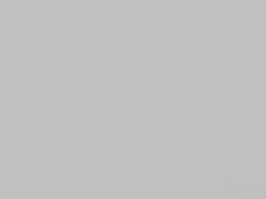 NarrowLeaf
